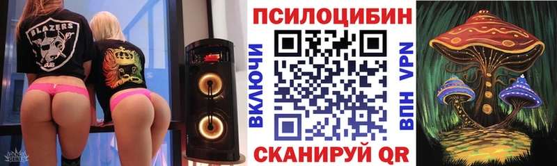 Псилоцибиновые грибы Psilocybe  Любань 